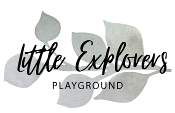 Little Explorers Playground